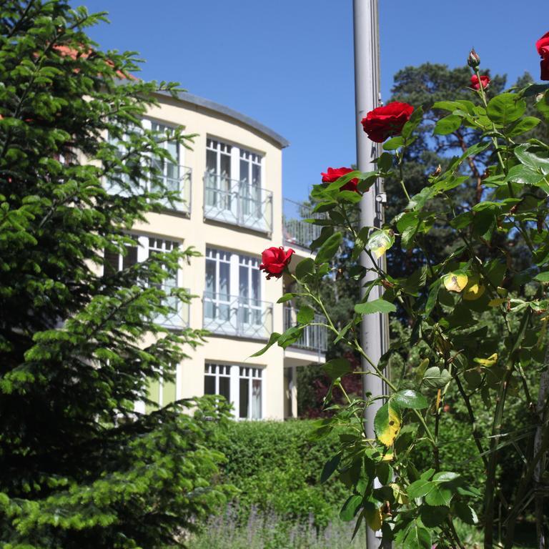 Seestern Apartment Bad Saarow